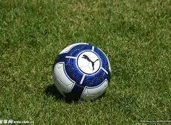 明星隐匿一,年终落网,争夺摩天大,博业体育平台,博业体育官方网站,博业体育登录入口,博业体育app下载