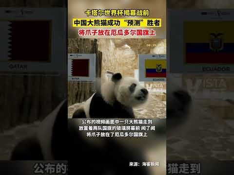 郭艾伦逆势,崛起,辽篮边缘逆,博业体育平台,博业体育官方网站,博业体育登录入口,博业体育app下载